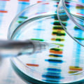 Understanding Personalized Medicine and Its Impact on Medical Diagnostics